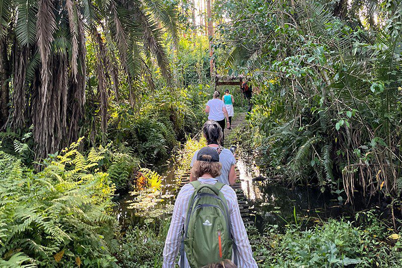 gorilla trekking in rwanda