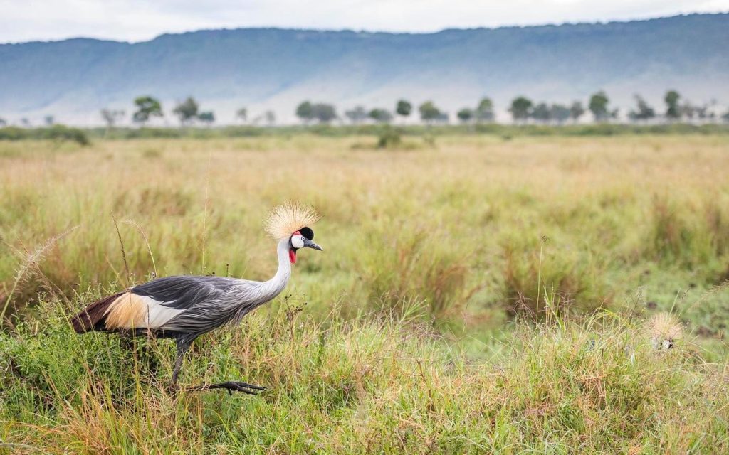 This image has an empty alt attribute; its file name is governorscampcollection_1751458810161-1-1024x640.jpeg