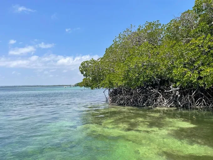 Watamu Beach 1