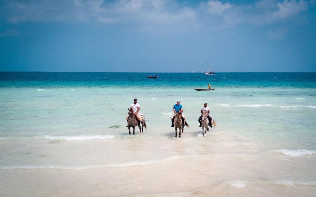 The Z Hotel beach horse riding