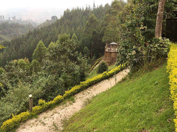 rushaga-gorilla-camp (1)