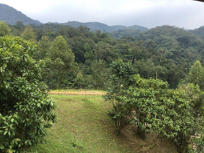 rushaga-gorilla-camp (2)