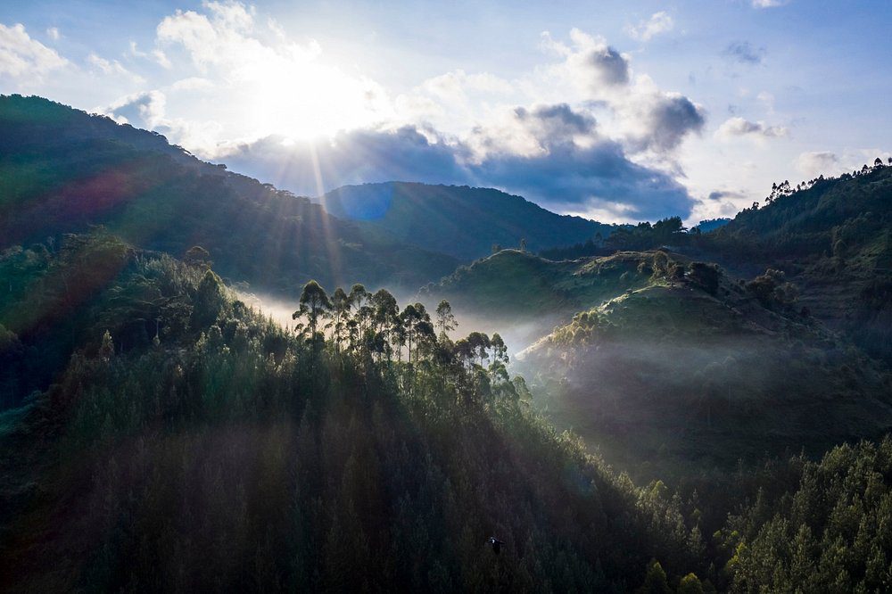 rushaga-gorilla-camp (2)