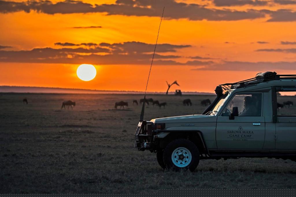 evening game drive