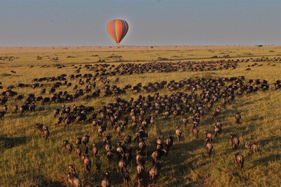 Great-migration